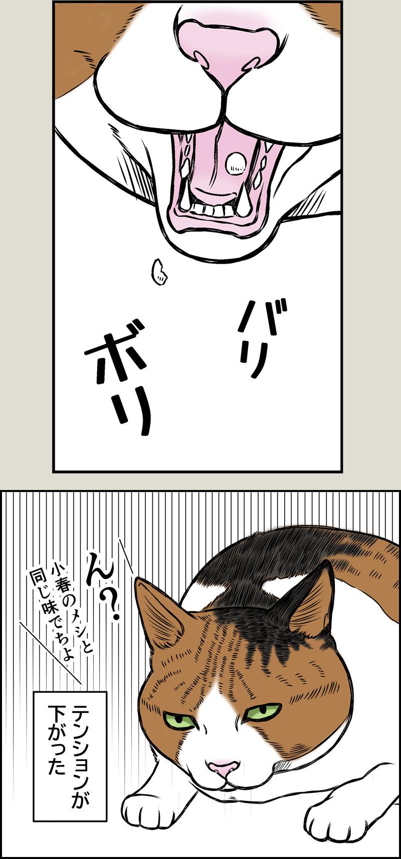 小春ダイエット　食事編