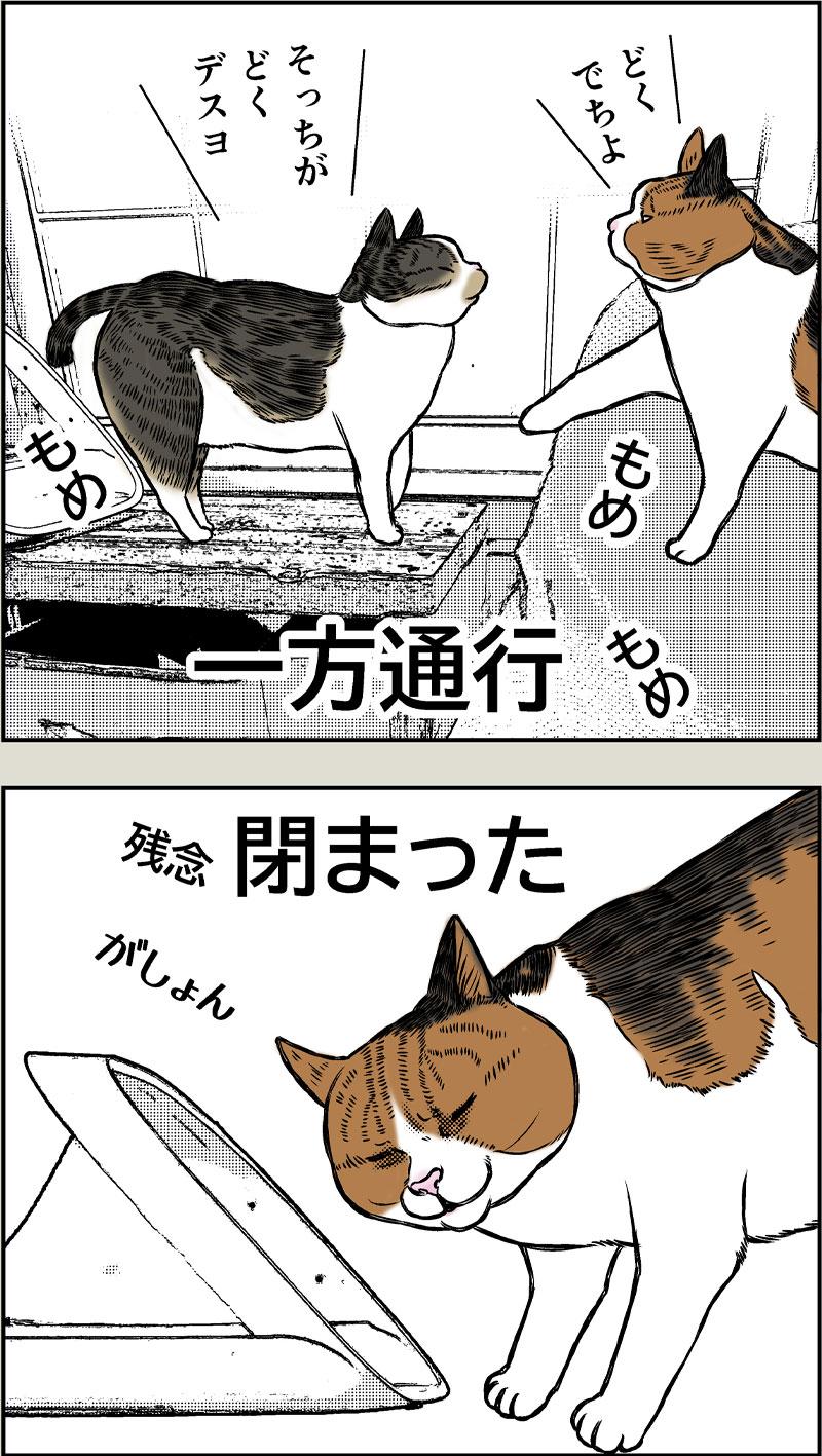 小春ダイエット　食事編