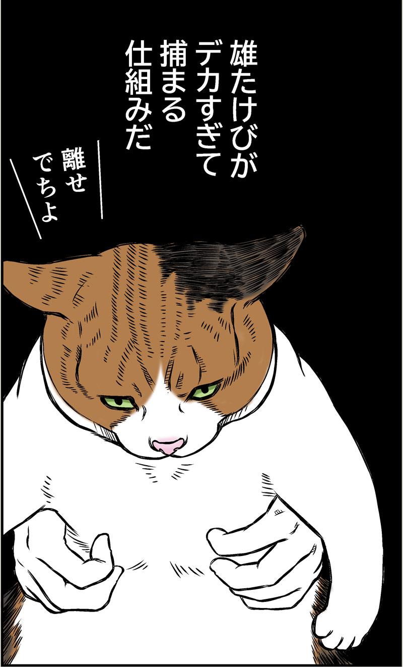 小春ダイエット　食事編