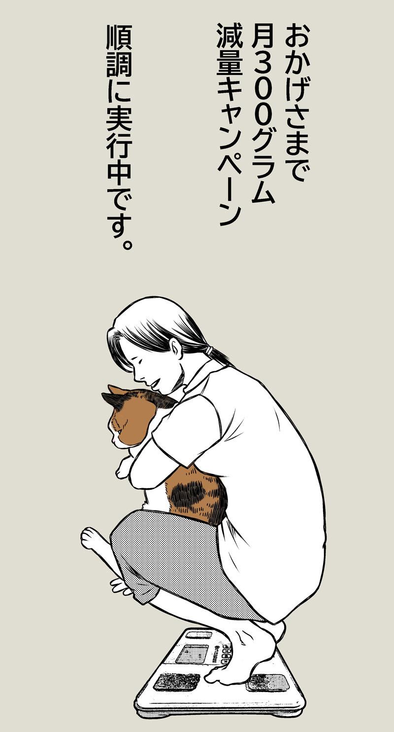 小春ダイエット　食事編