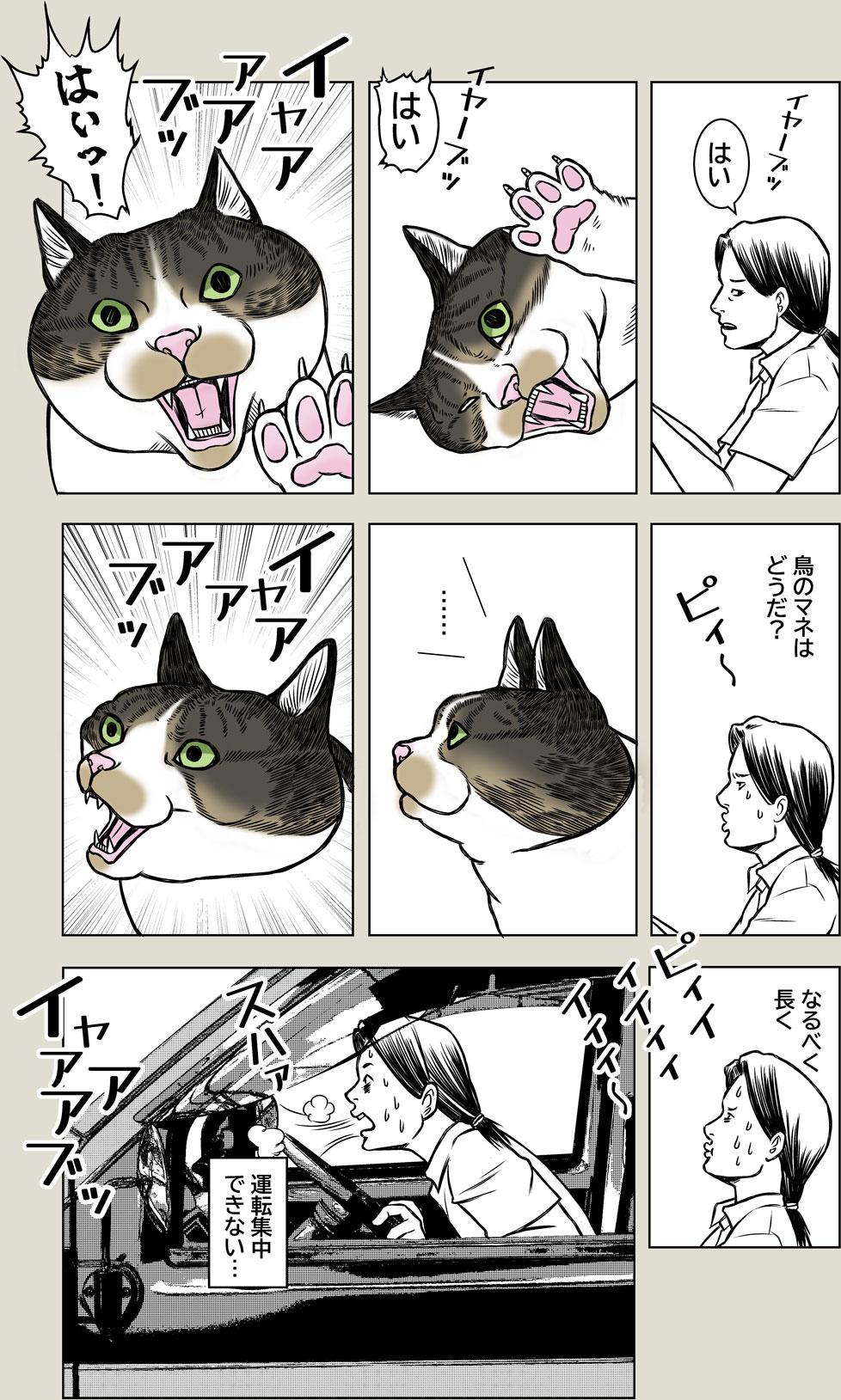 あさひくんとドライブ