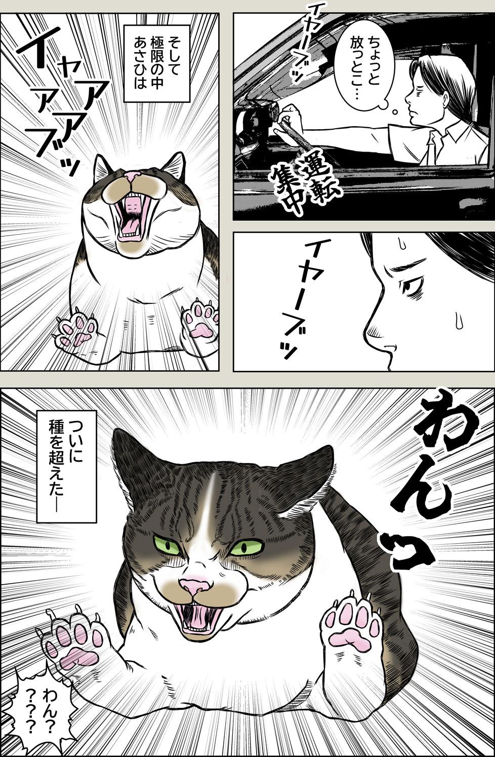 あさひくんとドライブ