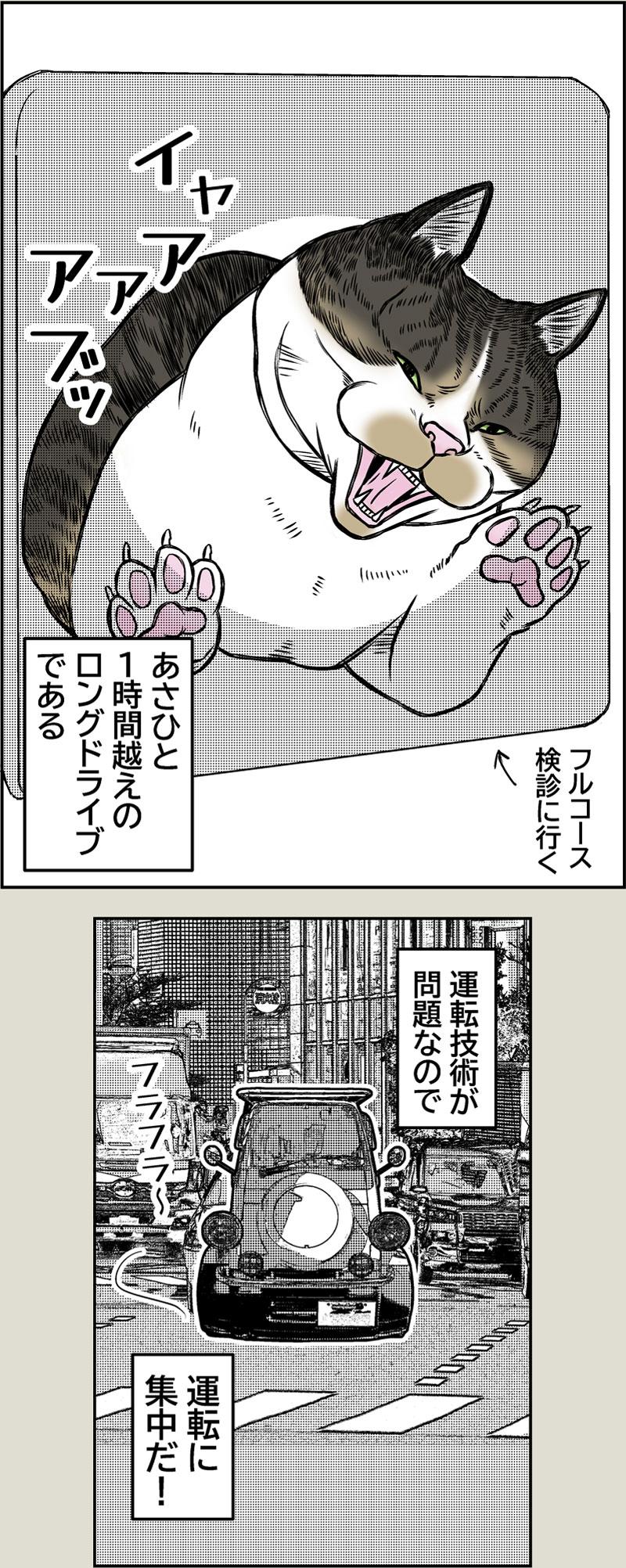 あさひくんとドライブ