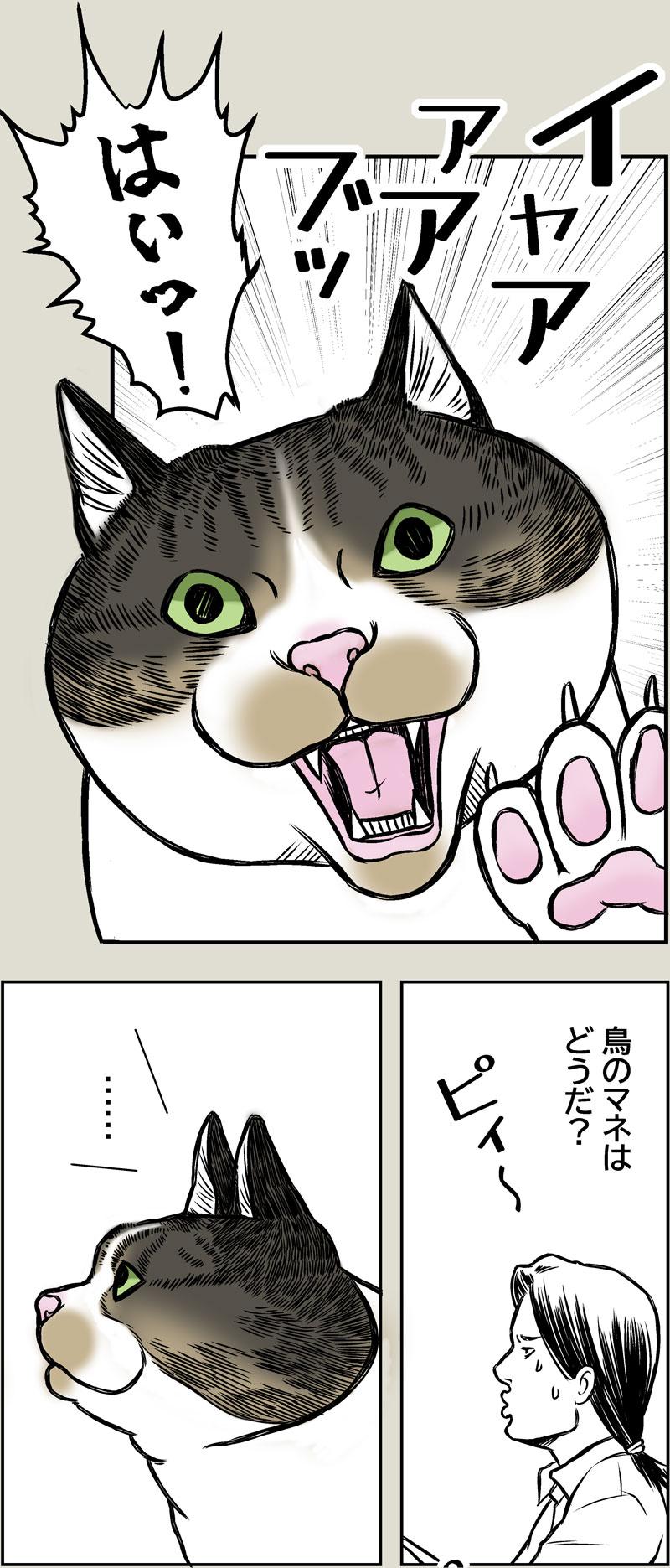 あさひくんとドライブ