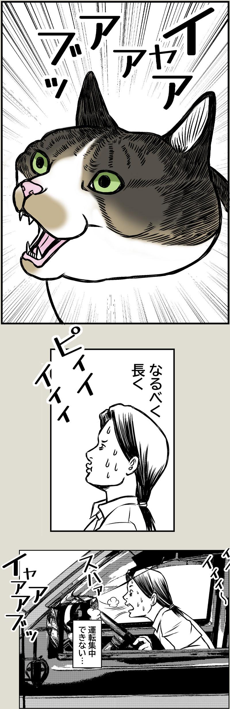 あさひくんとドライブ