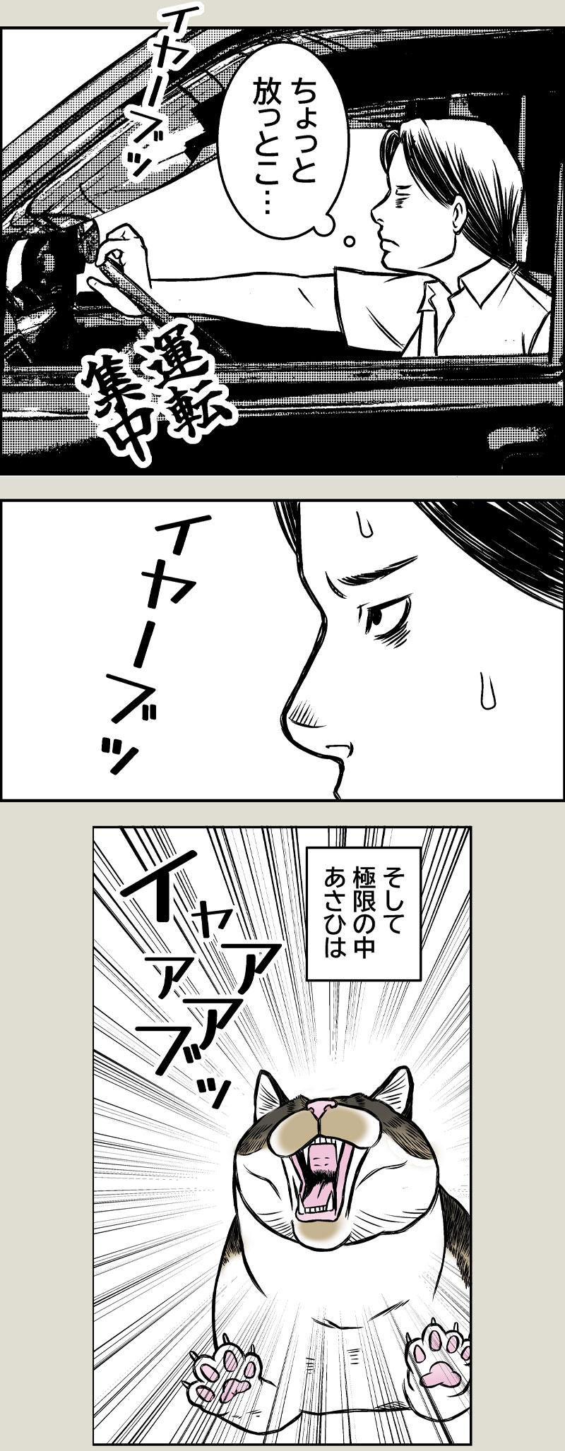 あさひくんとドライブ