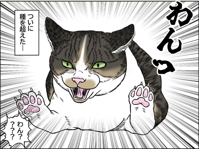 あさひくんとドライブ