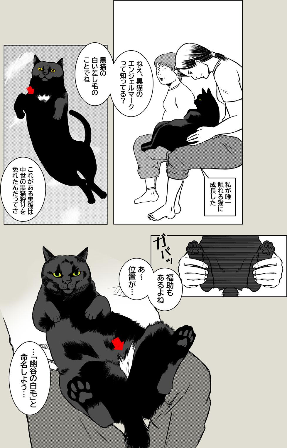 幸運の黒猫