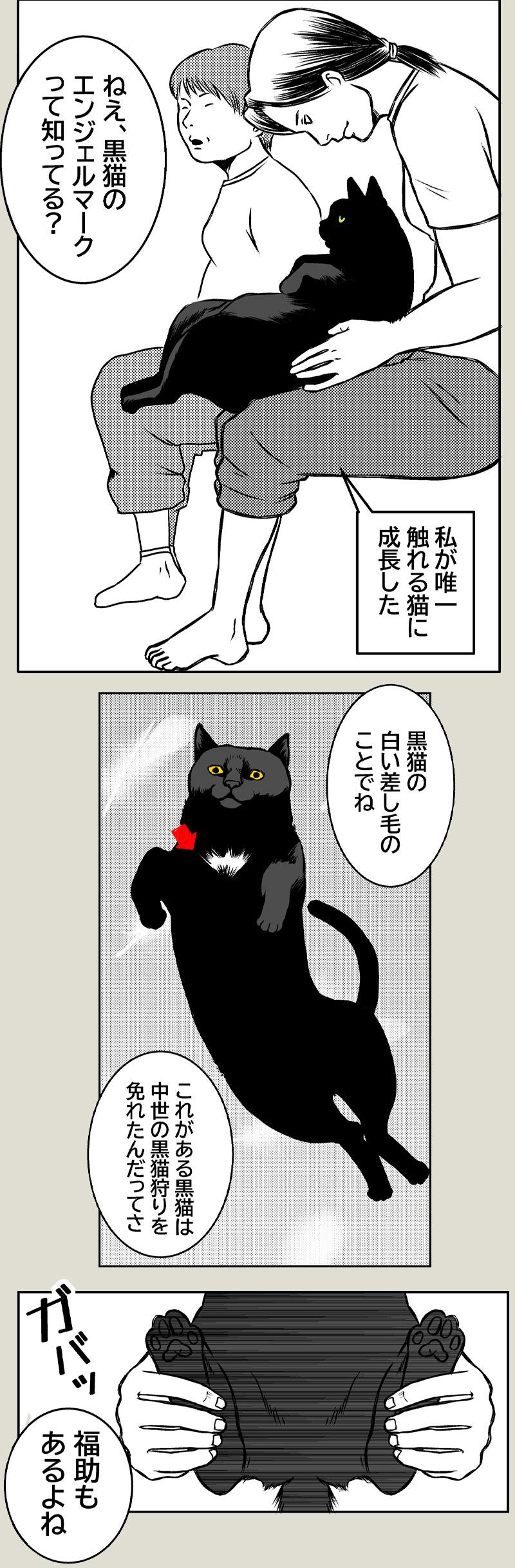幸運の黒猫
