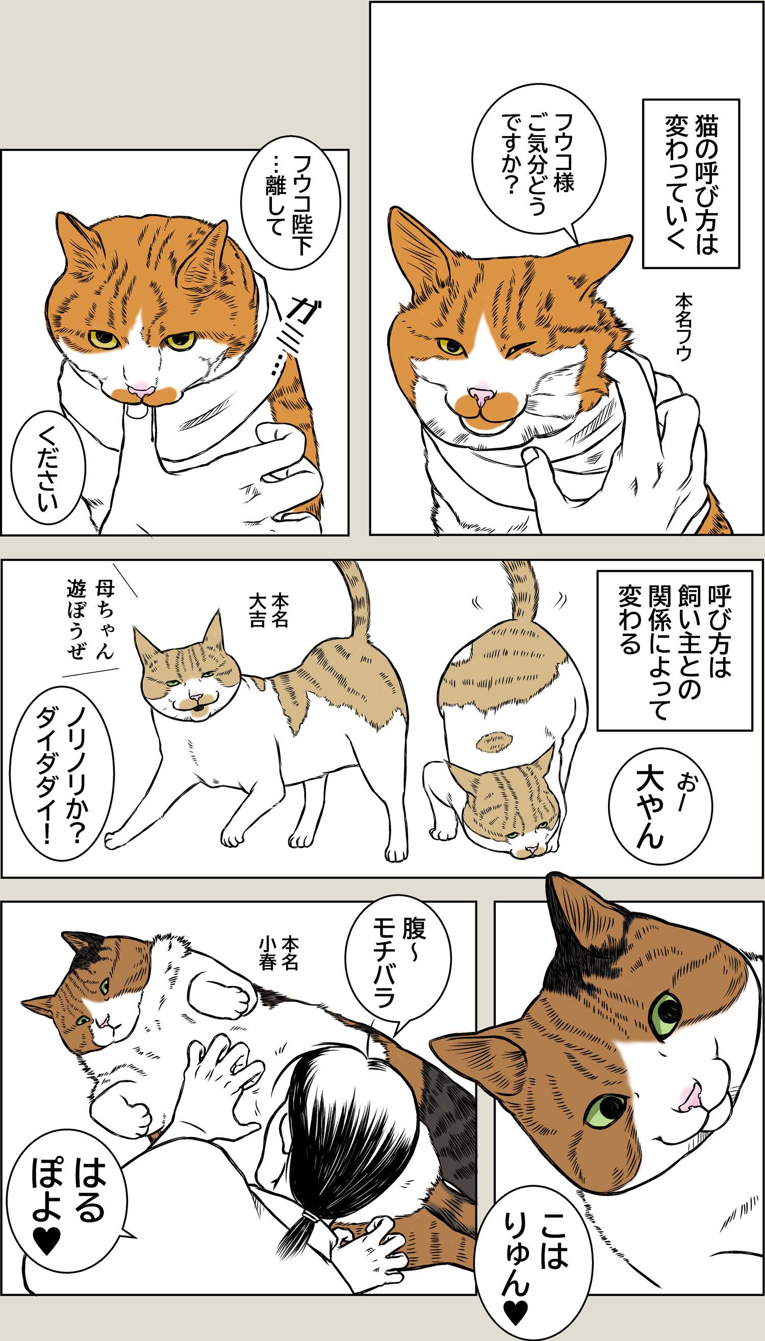 猫の名前の進化について
