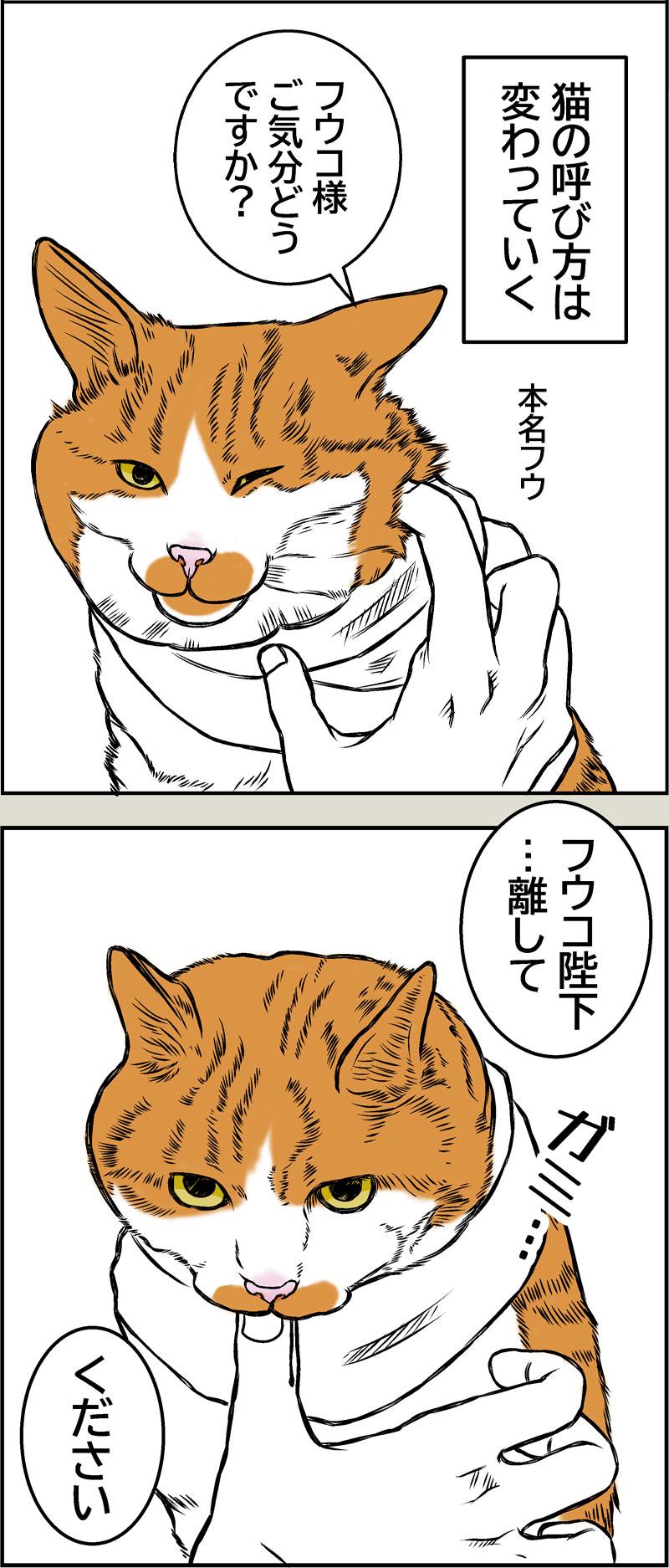 猫の名前の進化について