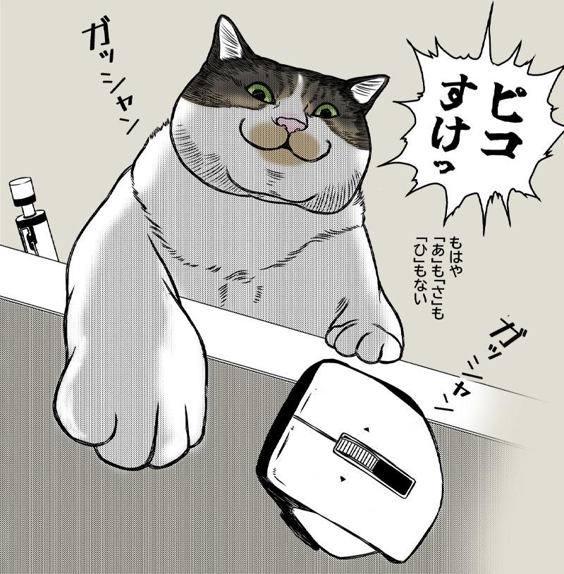 猫の名前の進化について