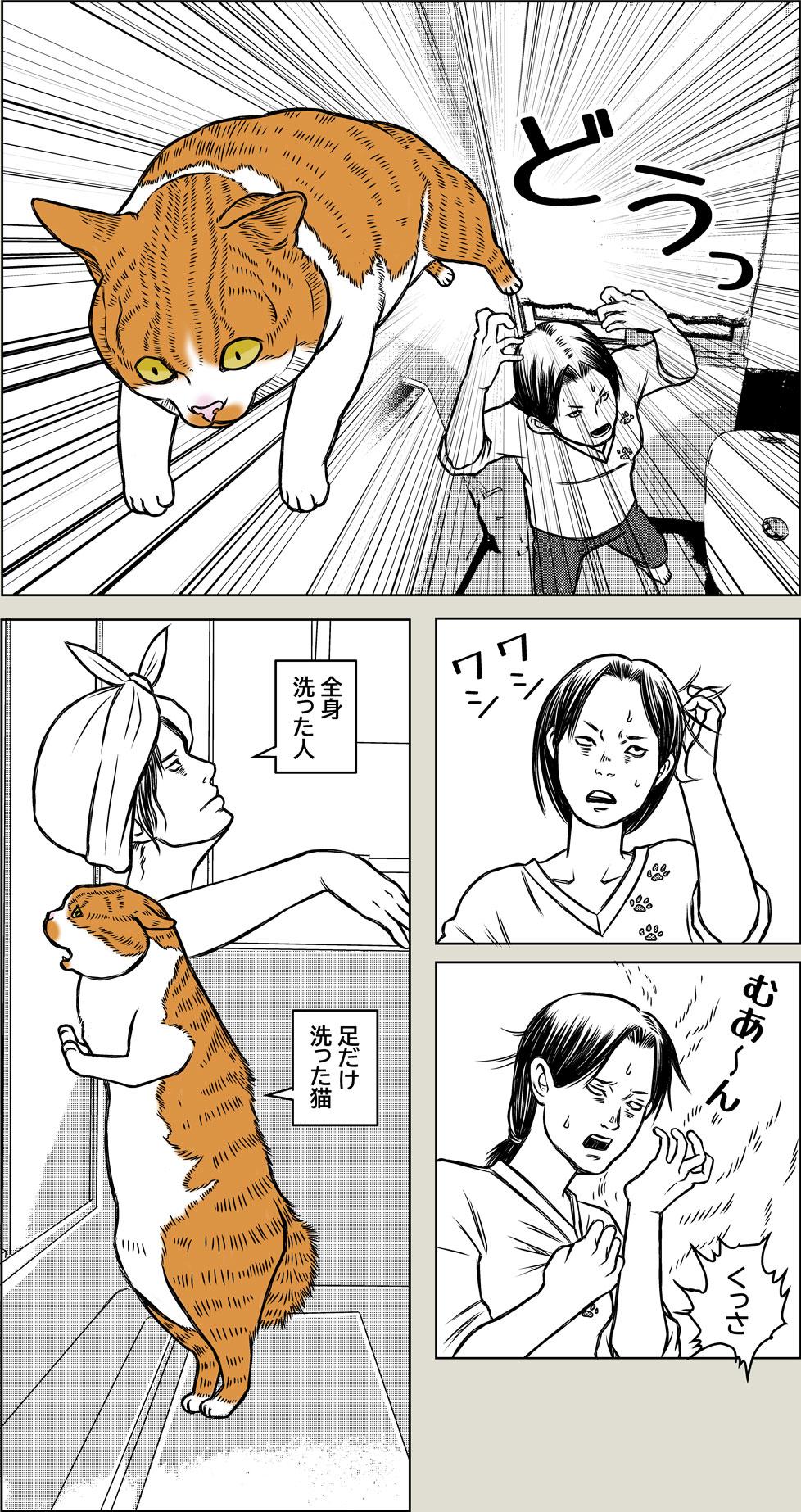 猫ウンピパニック