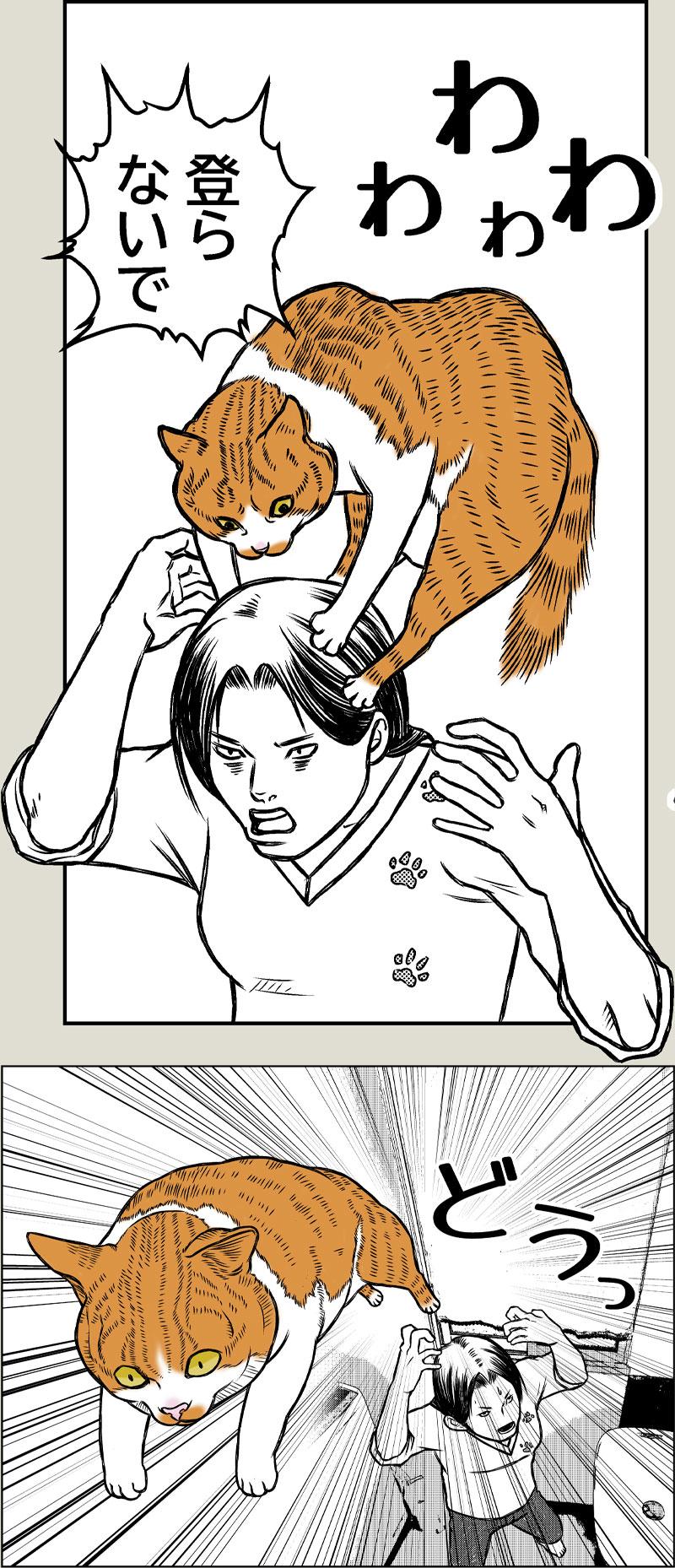 猫ウンピパニック