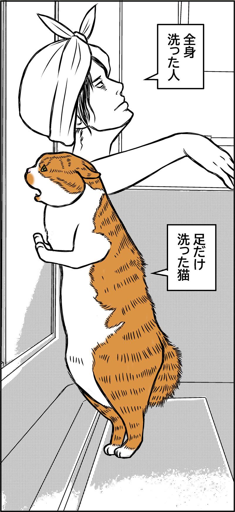 猫ウンピパニック