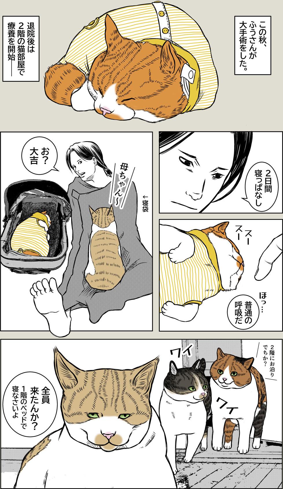 Laughter is the best medicine