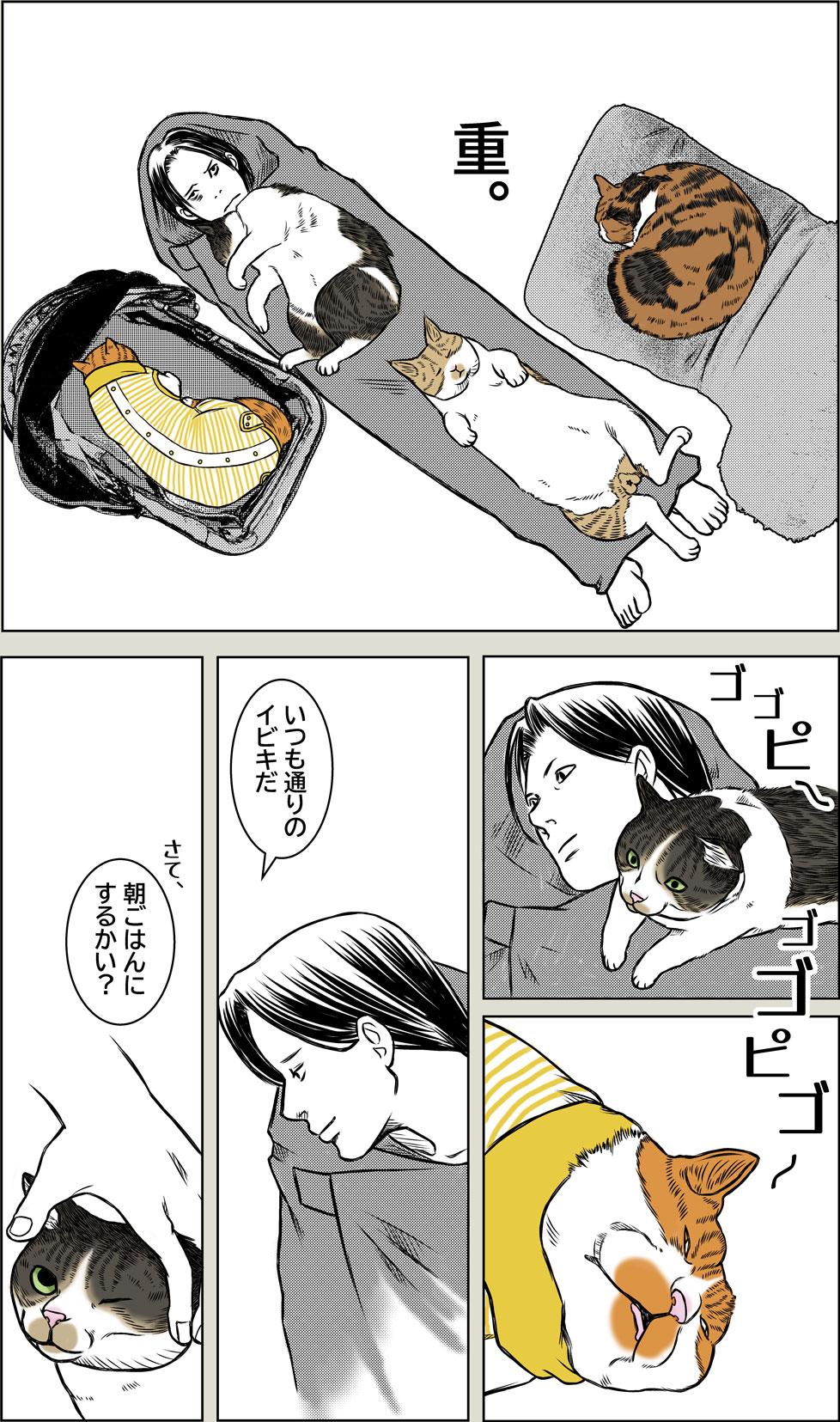 Laughter is the best medicine