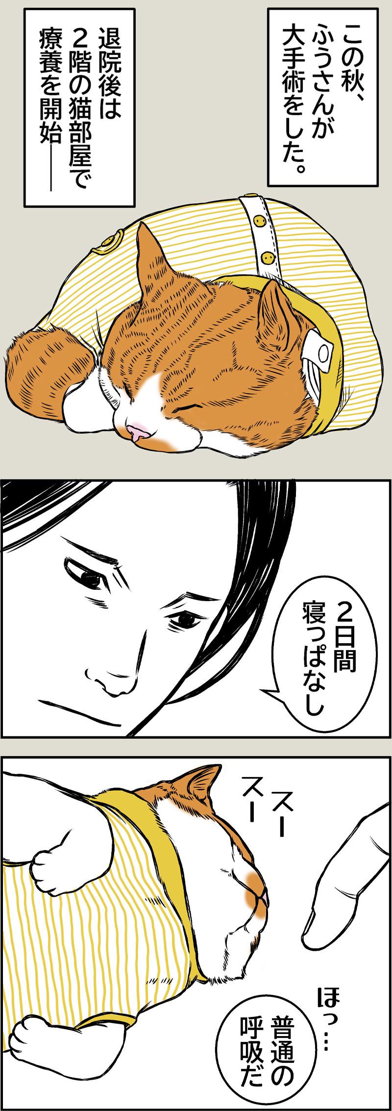 Laughter is the best medicine