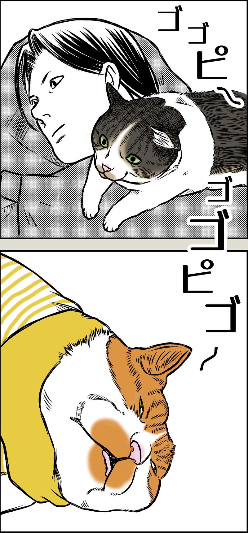 Laughter is the best medicine