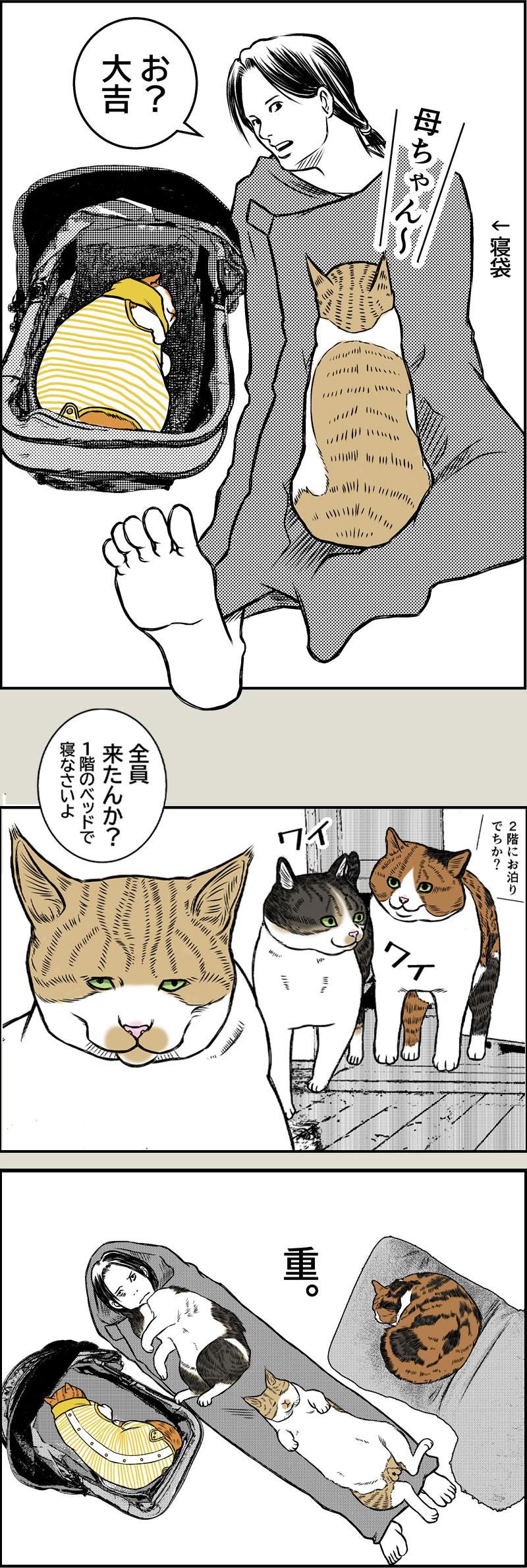 Laughter is the best medicine