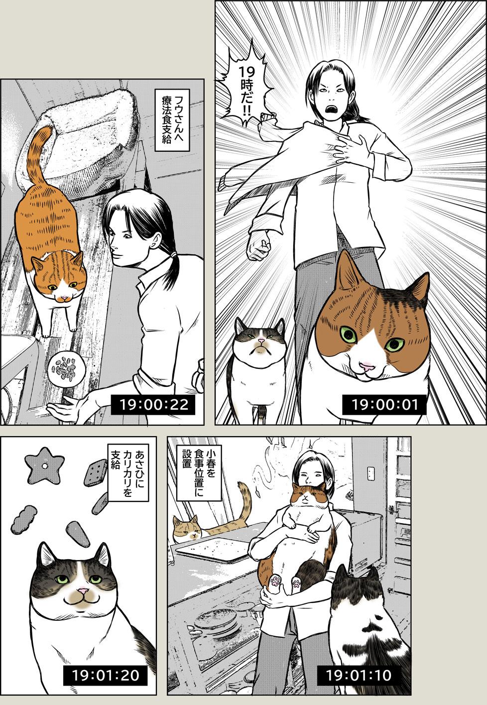 晩御飯ルーティーン