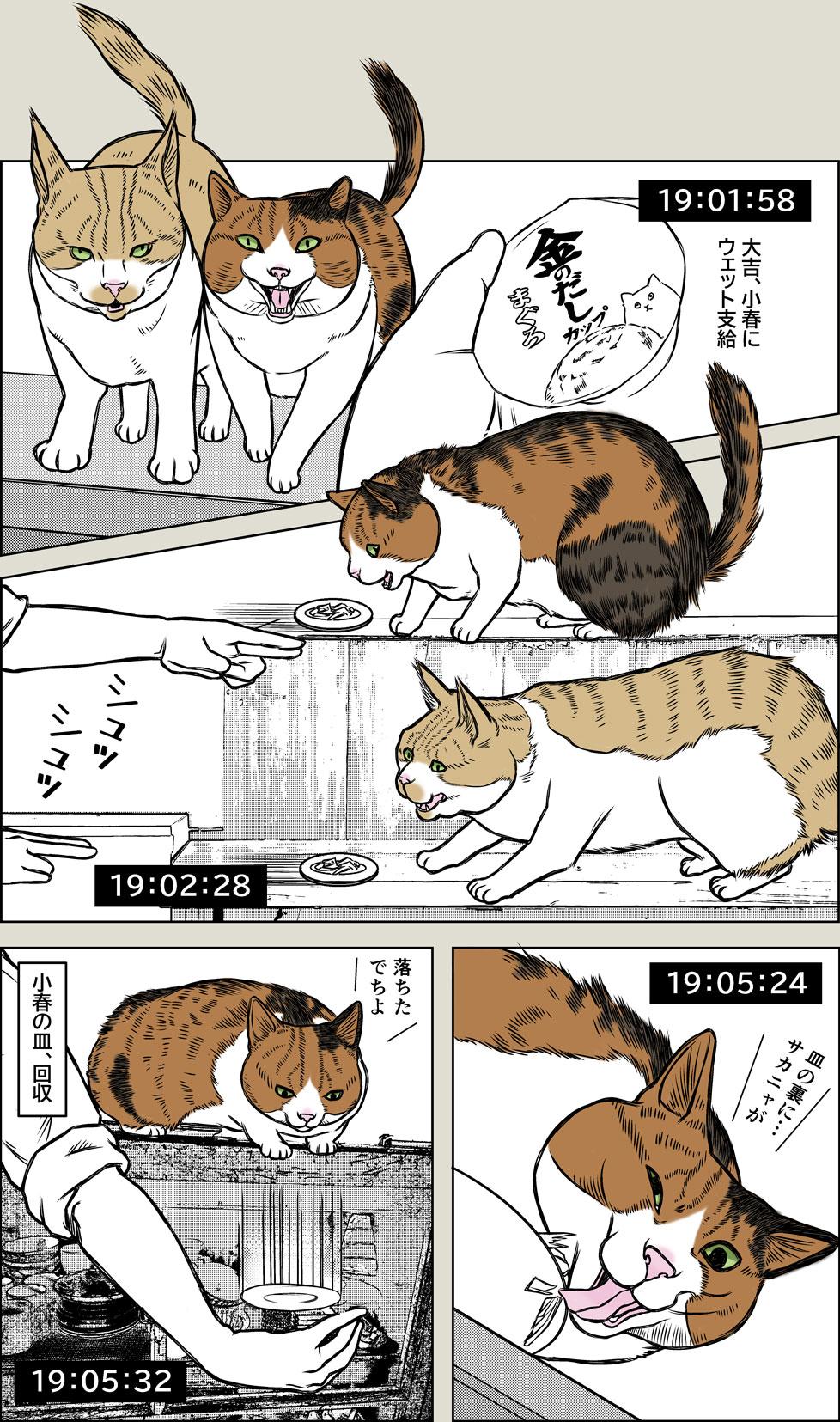 晩御飯ルーティーン