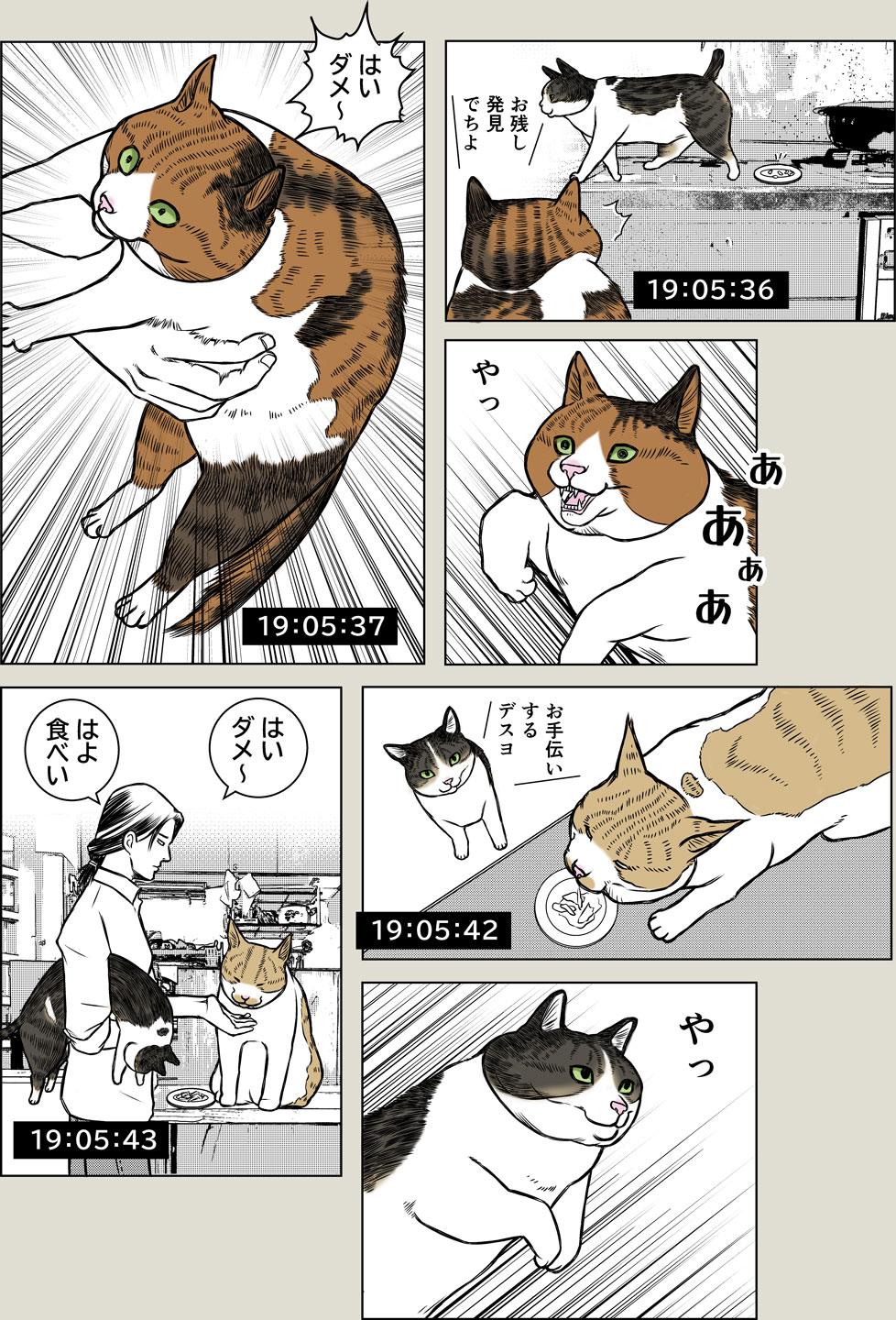 晩御飯ルーティーン