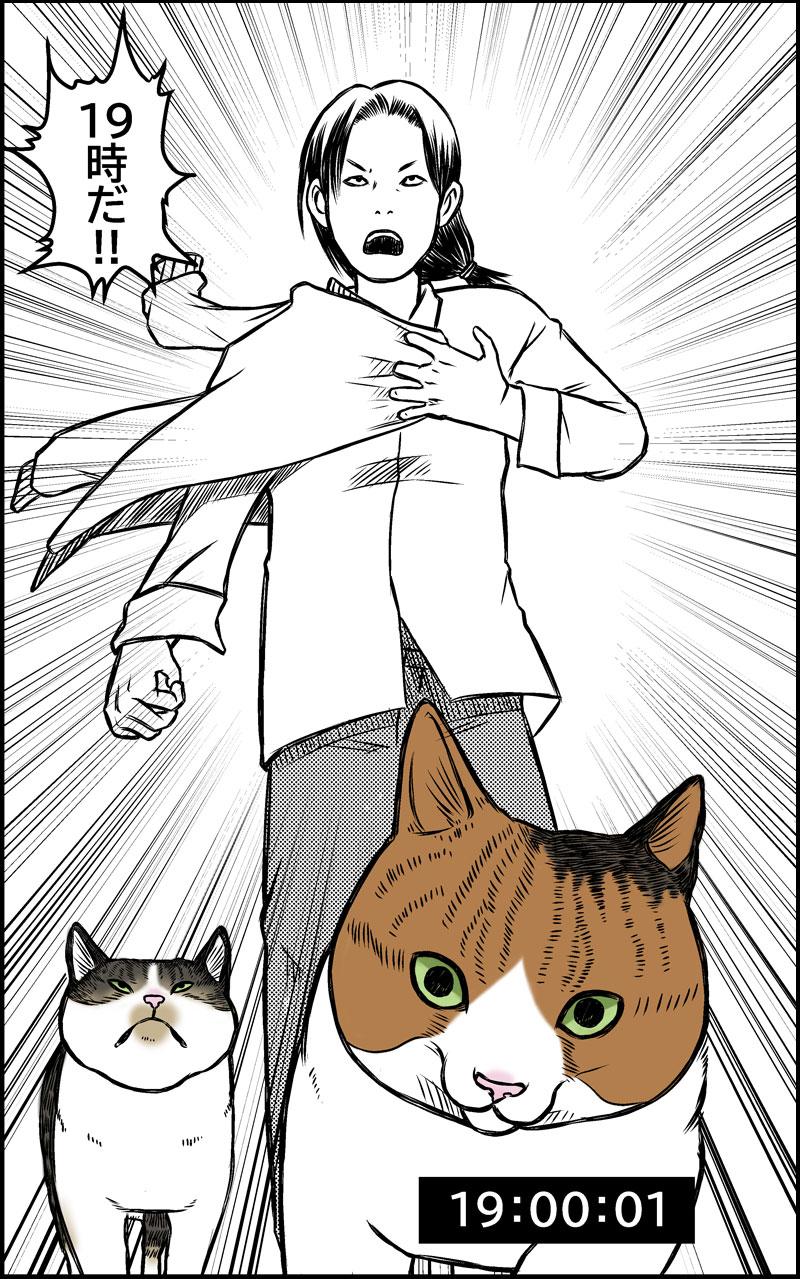 晩御飯ルーティーン