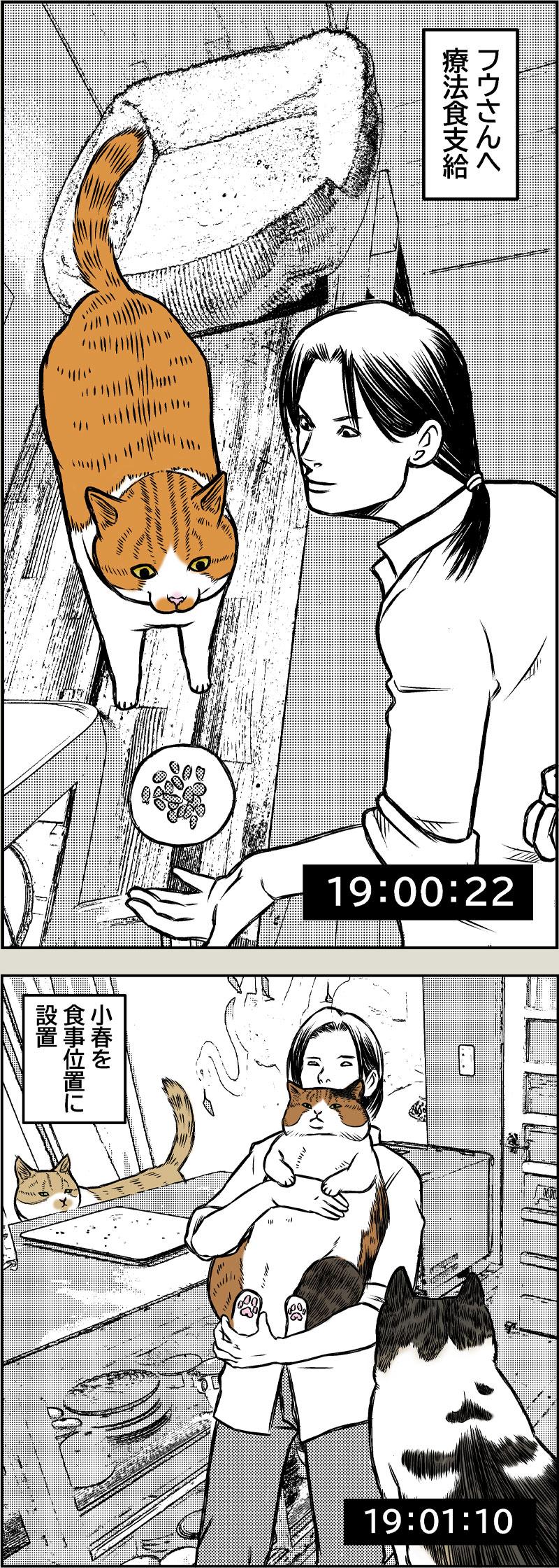 晩御飯ルーティーン