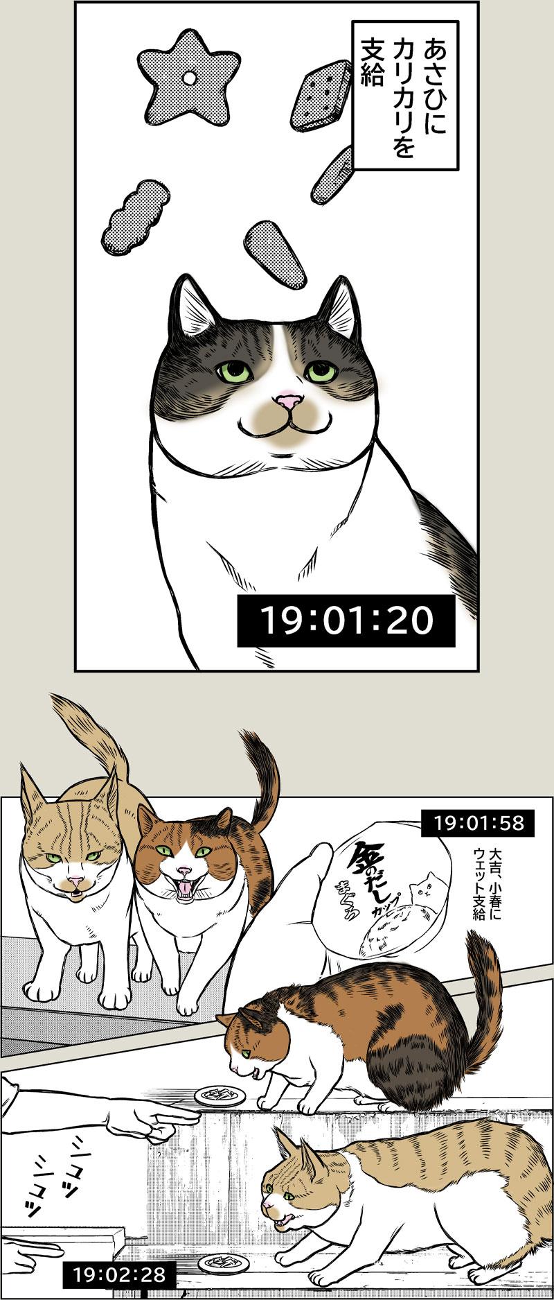 晩御飯ルーティーン