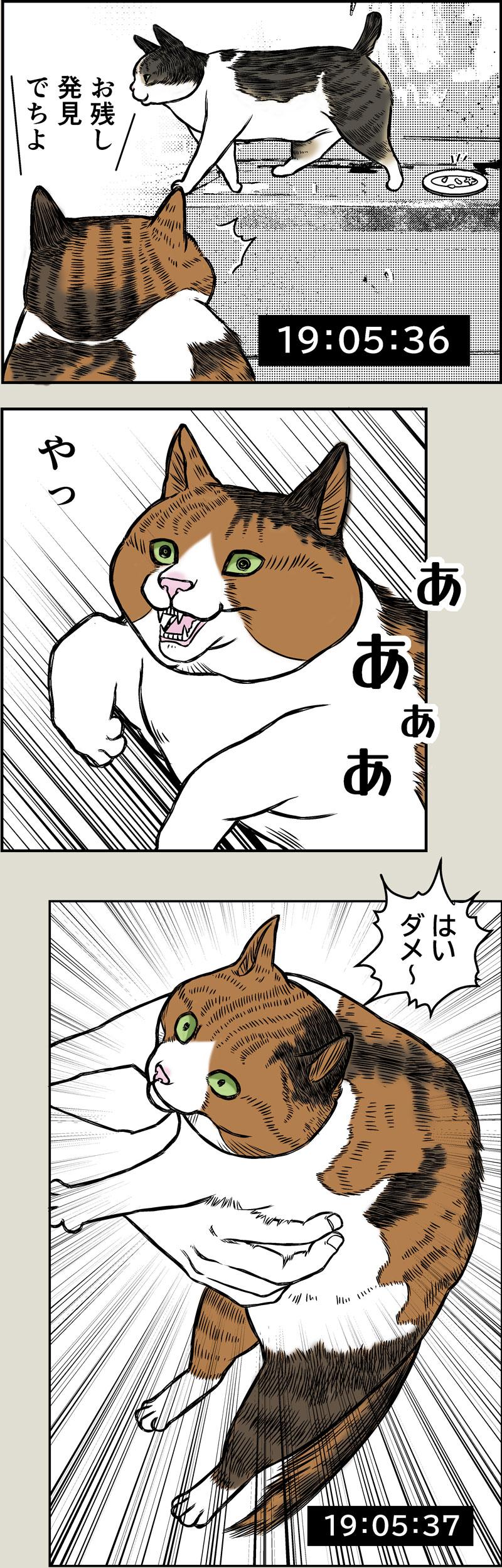 晩御飯ルーティーン