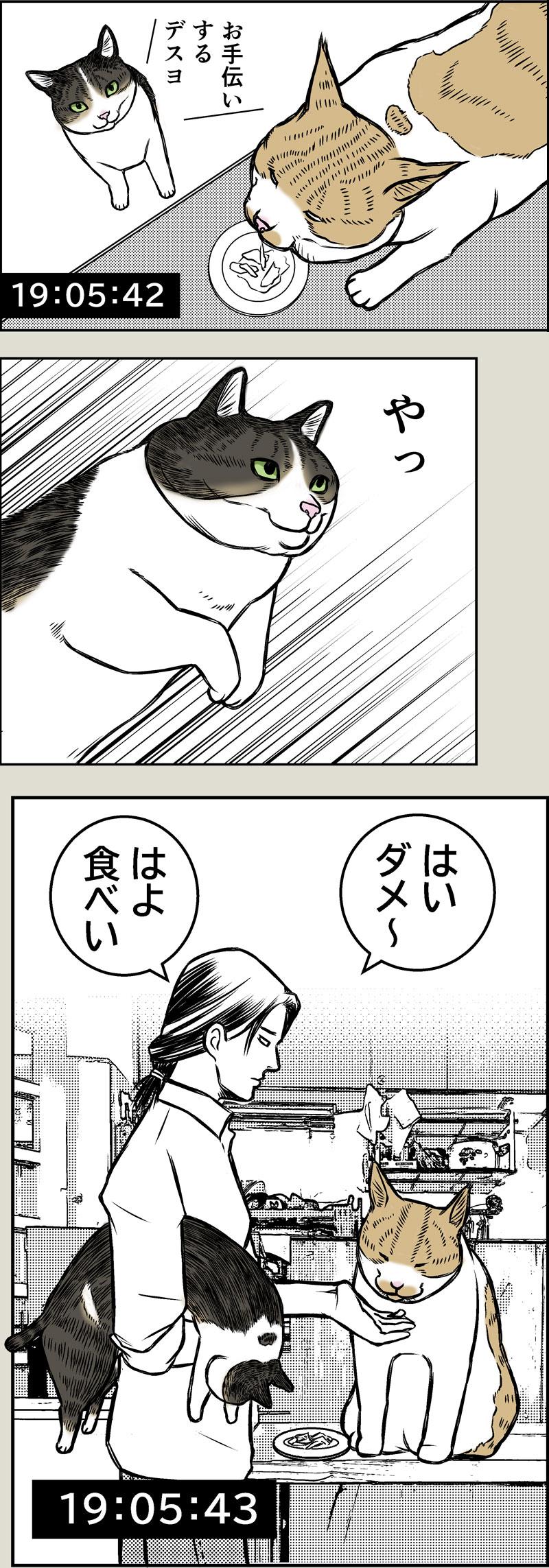 晩御飯ルーティーン