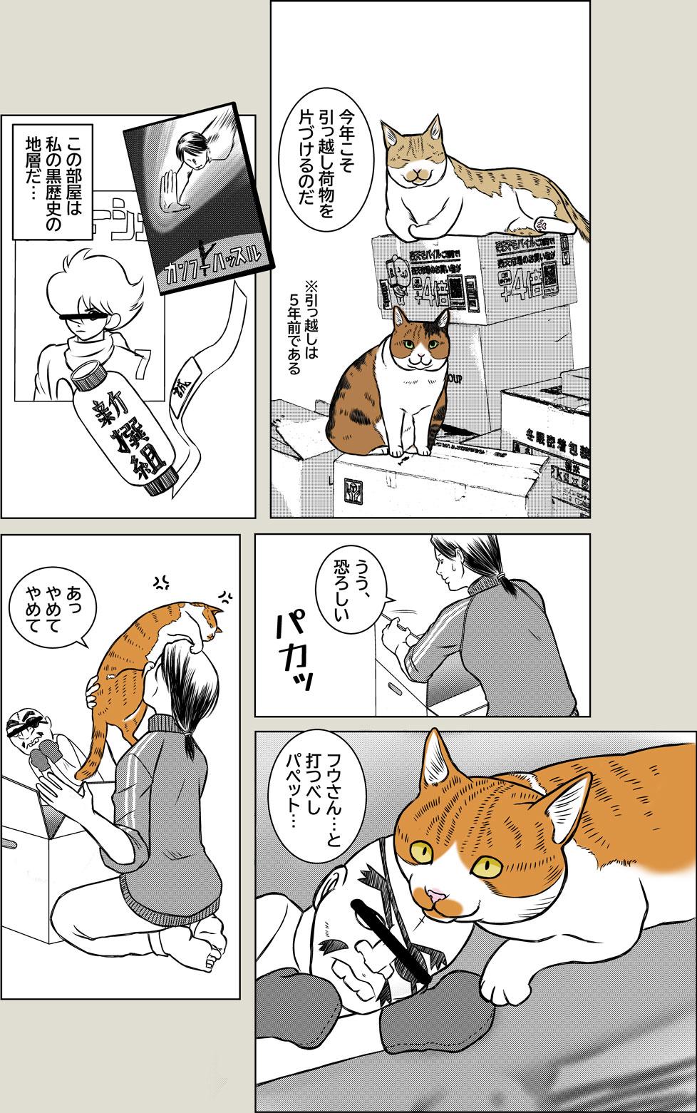 猫と大掃除2026