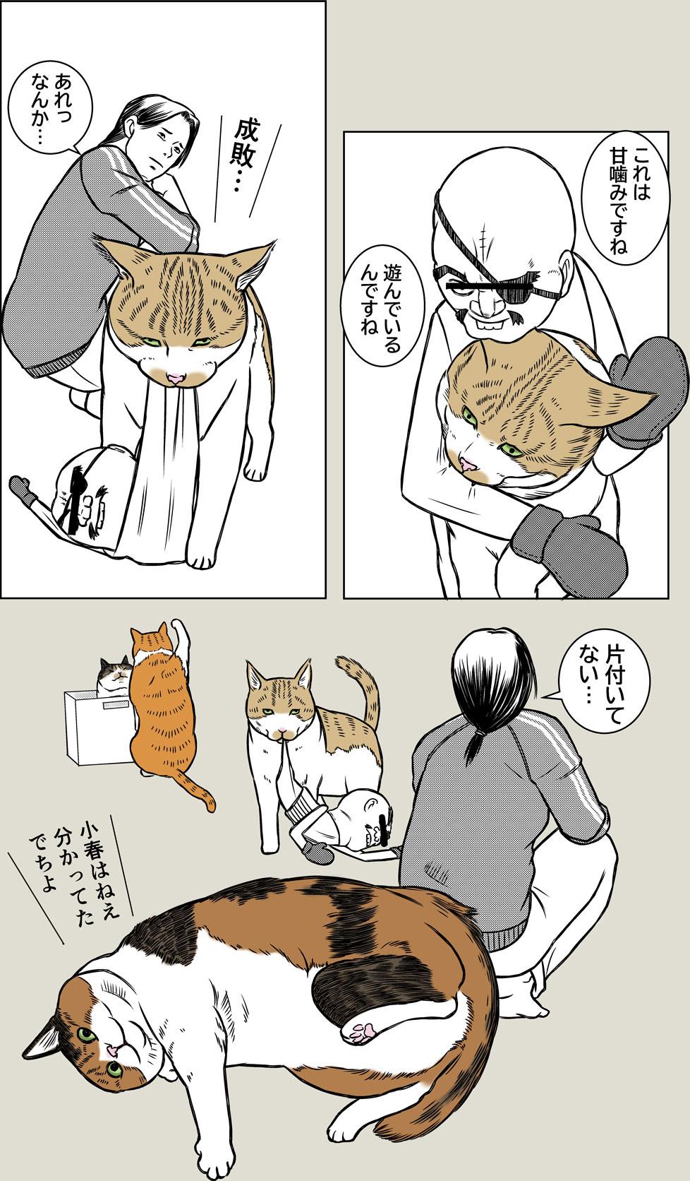 猫と大掃除2026
