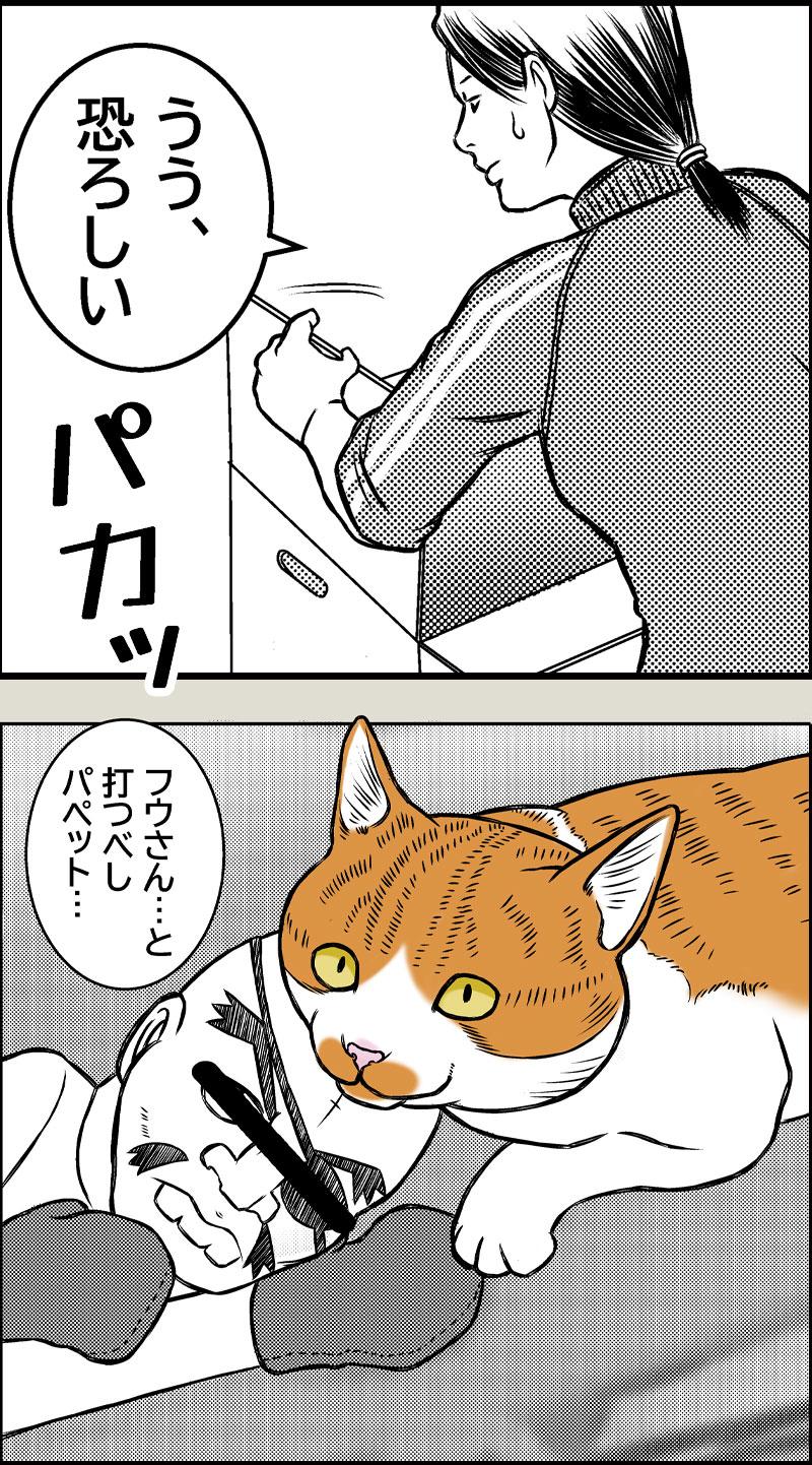 猫と大掃除2026