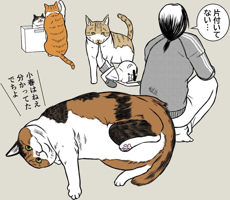 猫と大掃除2026