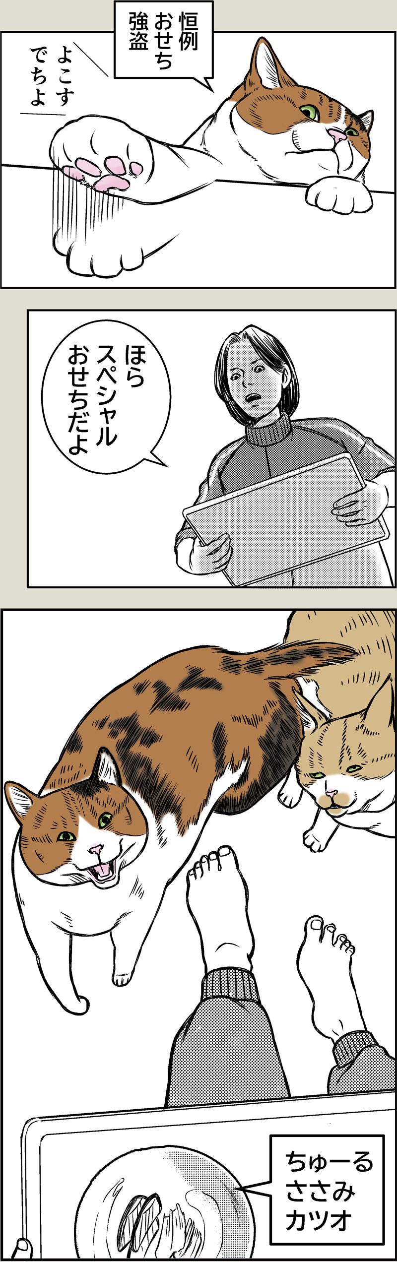 猫飼い年賀あるある