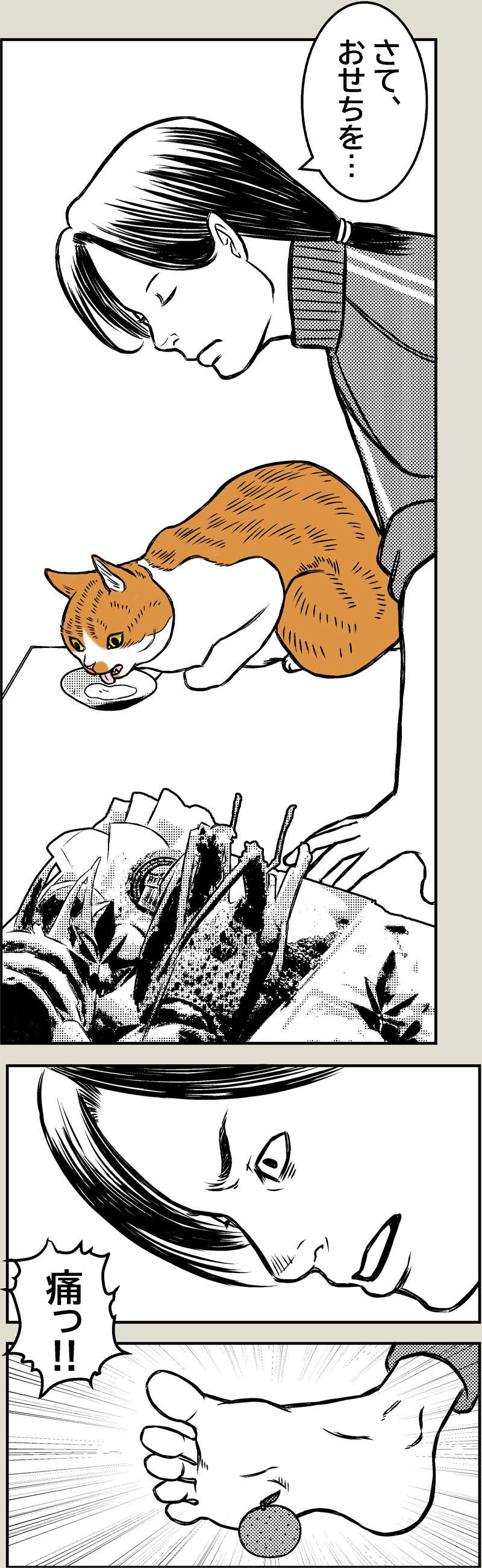 猫飼い年賀あるある