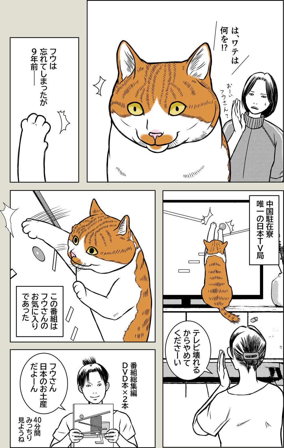 好きなTVの思い出