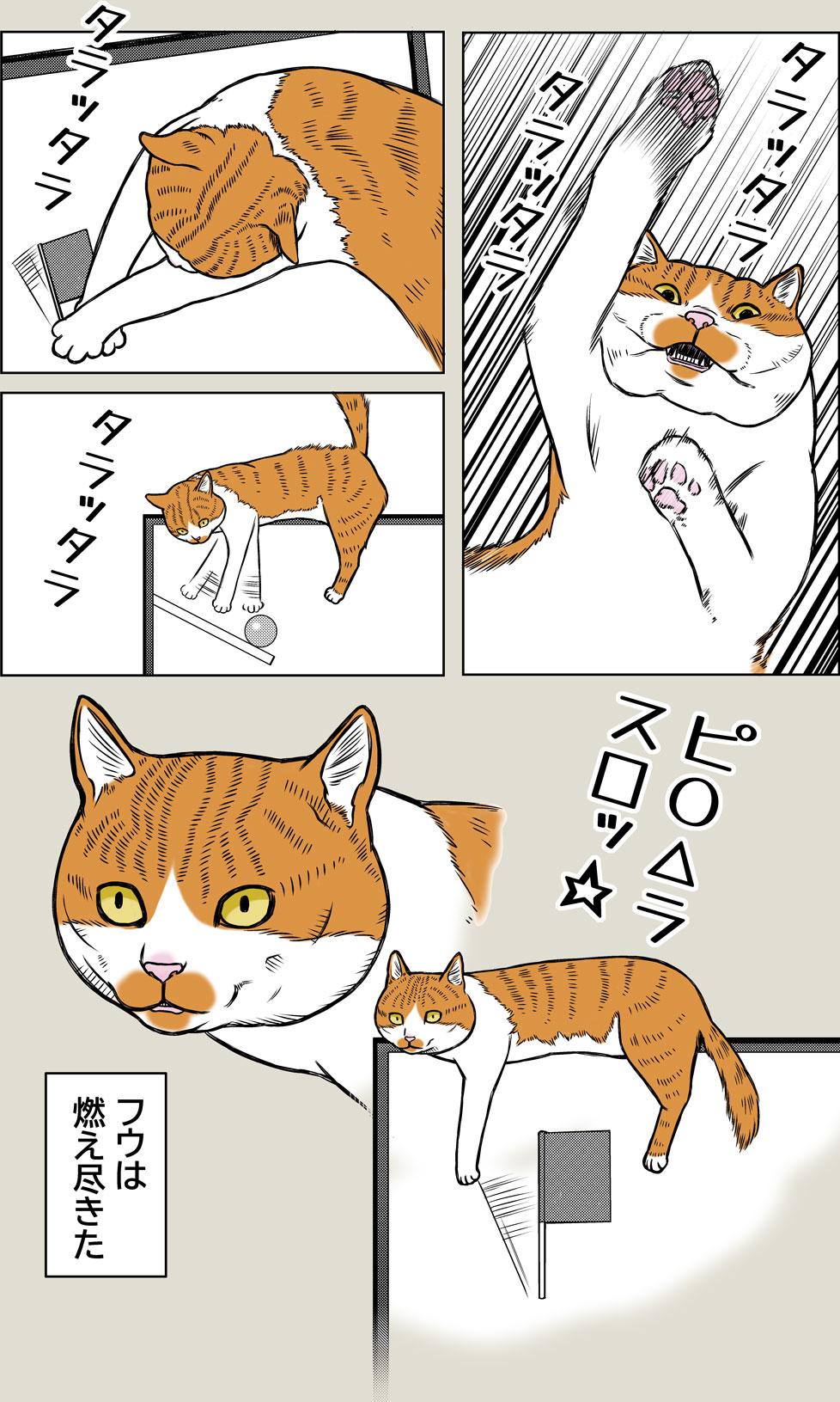 好きなTVの思い出