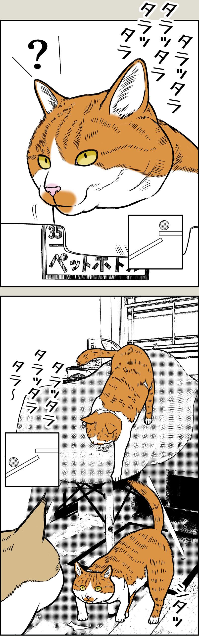 好きなTVの思い出