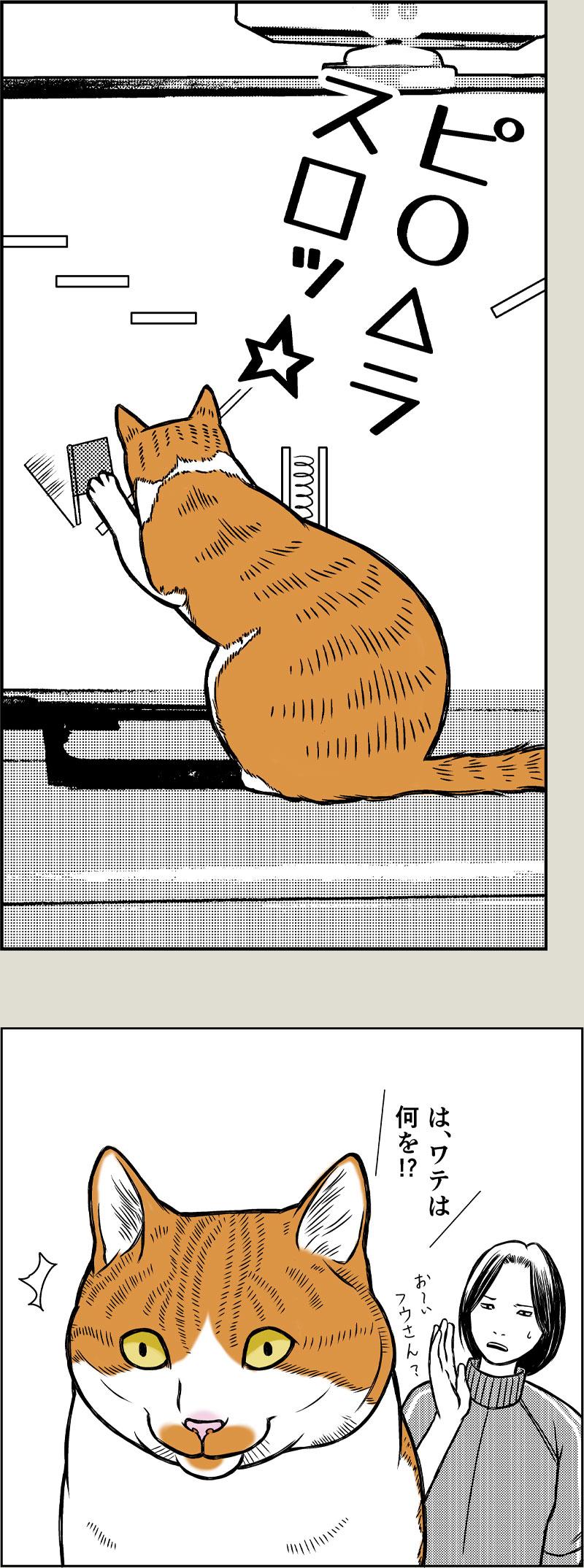 好きなTVの思い出