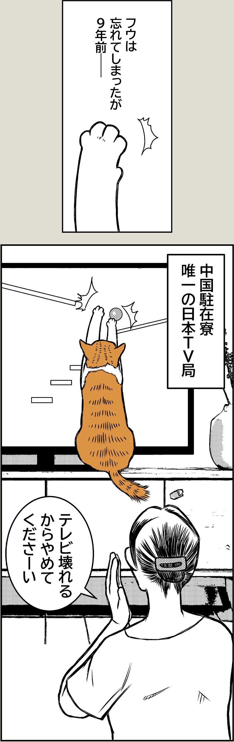 好きなTVの思い出