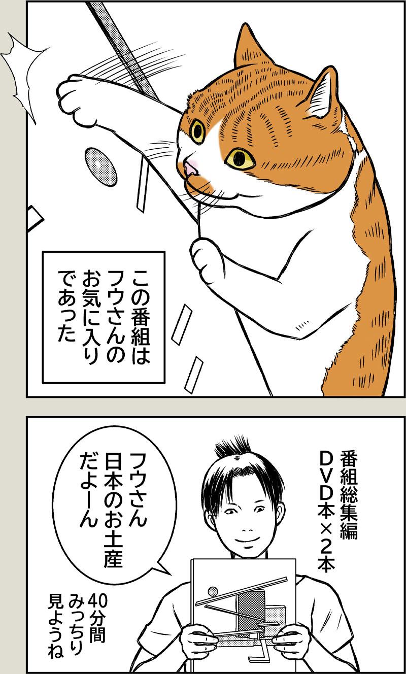 好きなTVの思い出