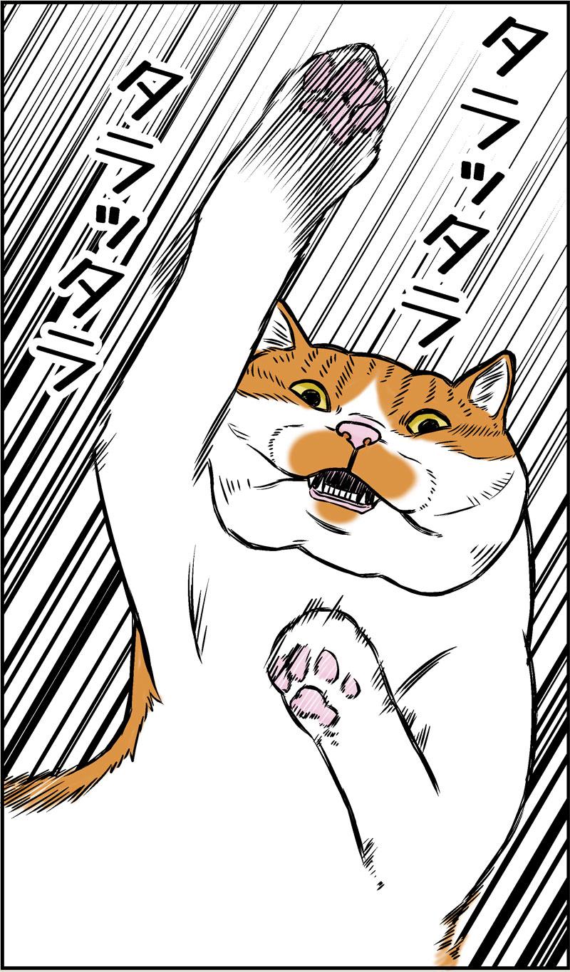 好きなTVの思い出