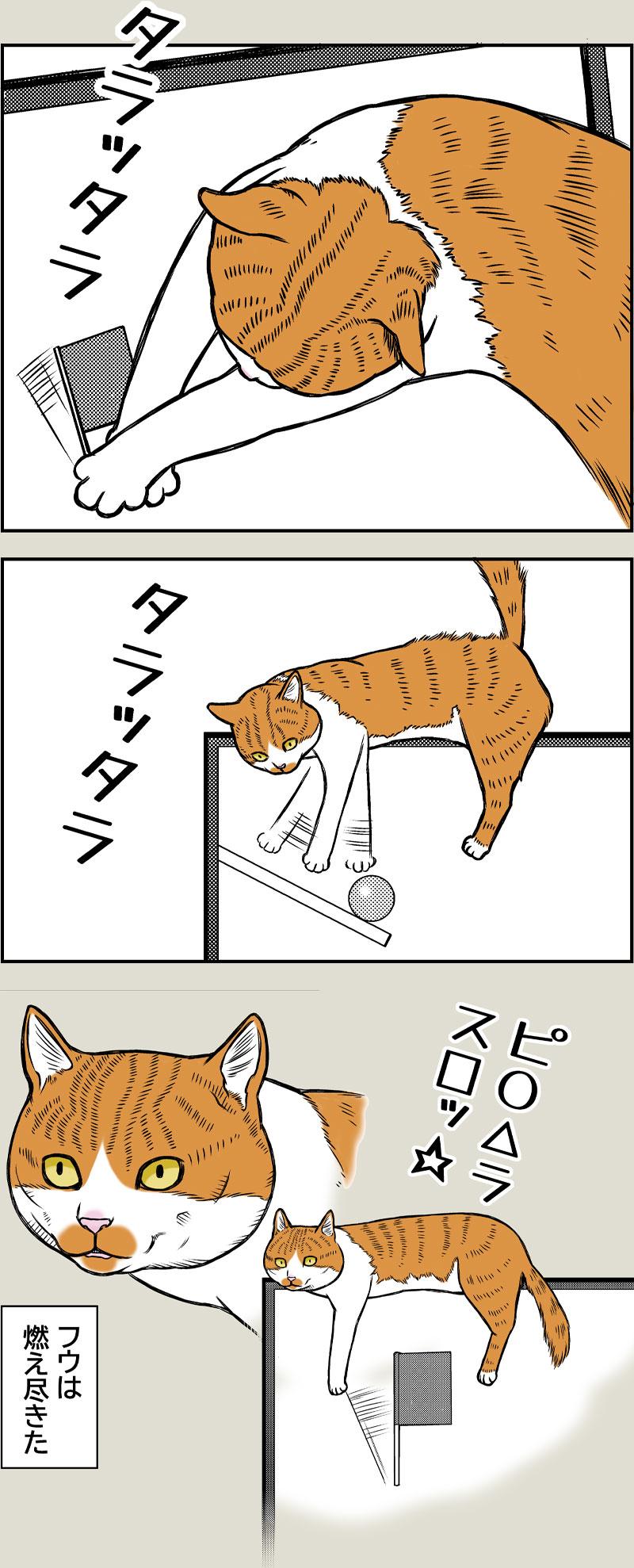 好きなTVの思い出