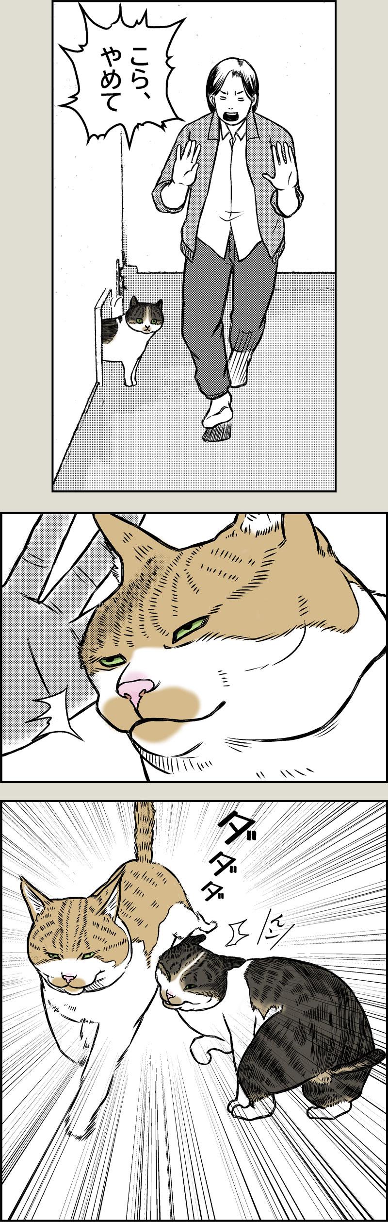 エクストリーム尻こすり