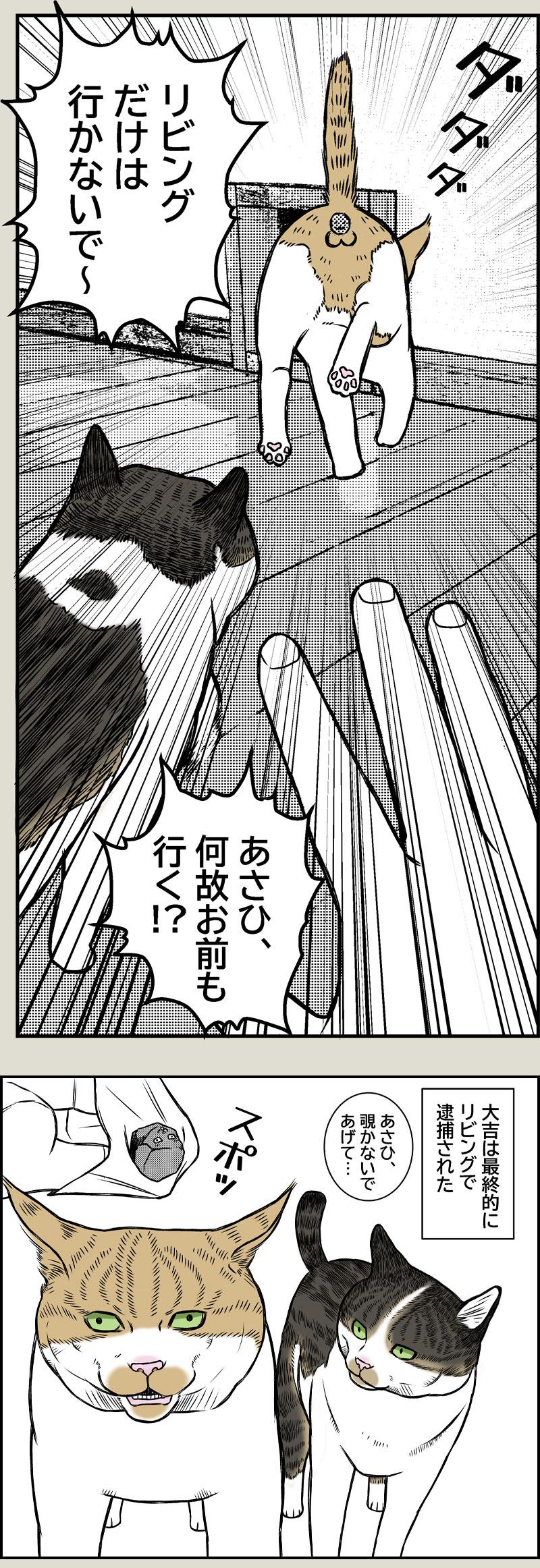 エクストリーム尻こすり