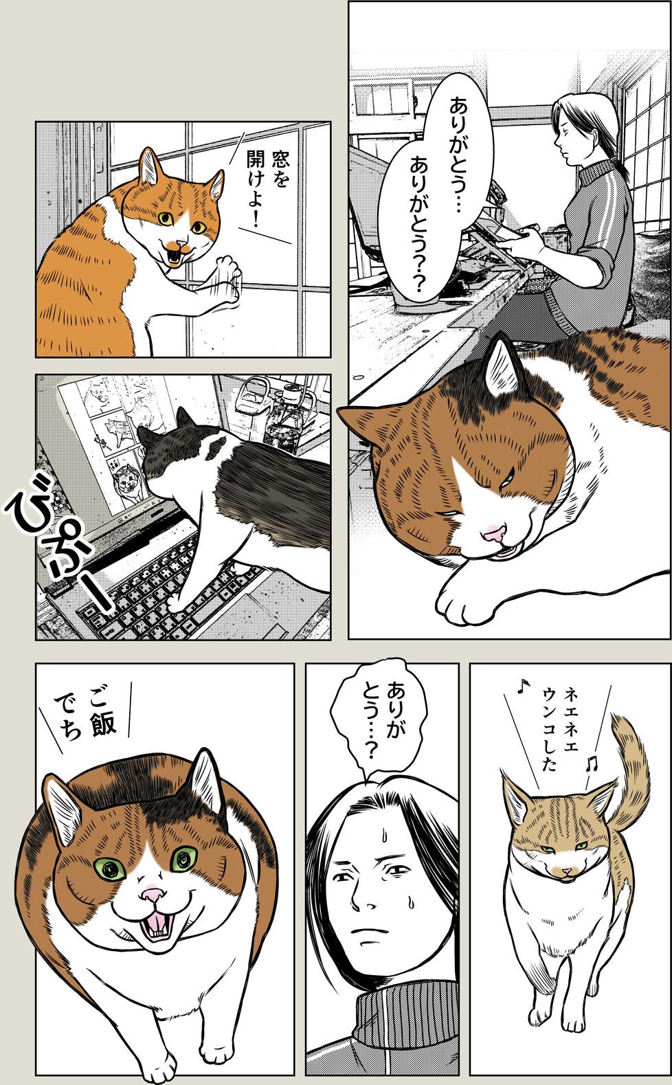 猫のありがとう？？