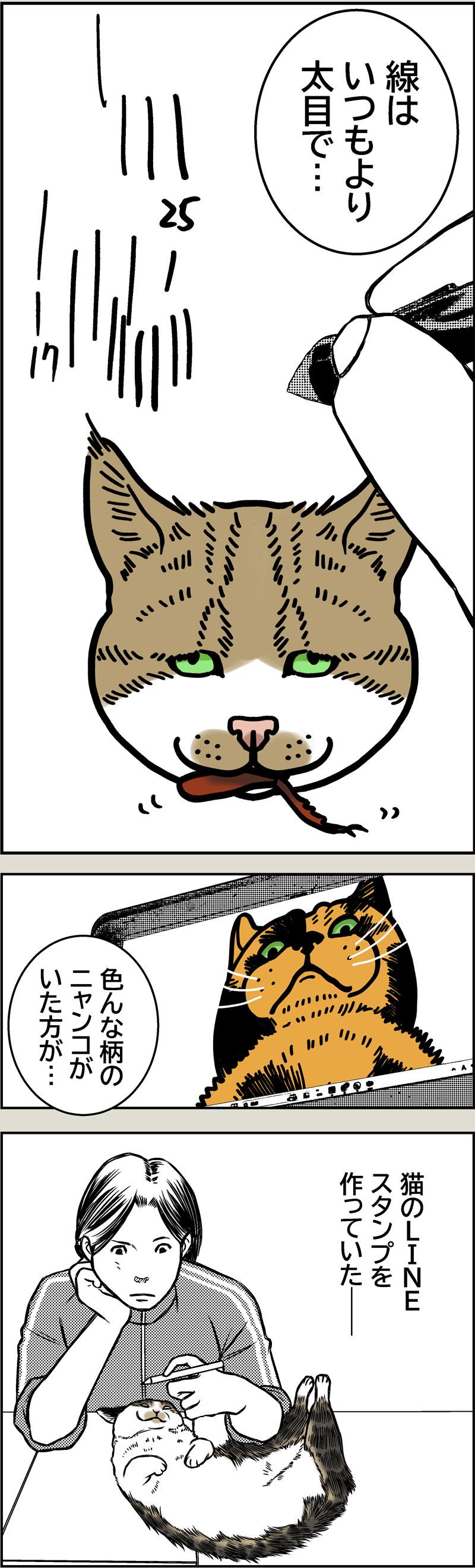 猫のありがとう？？